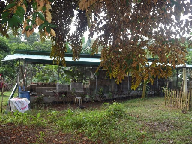 place photo 71