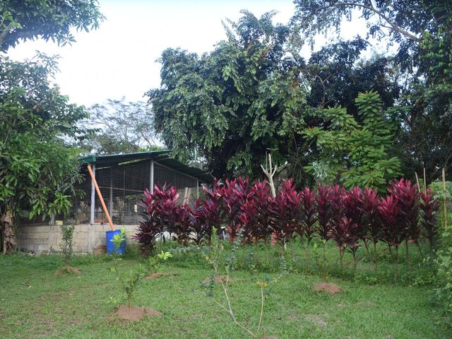 place photo 67
