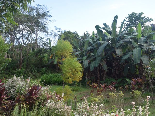 place photo 62