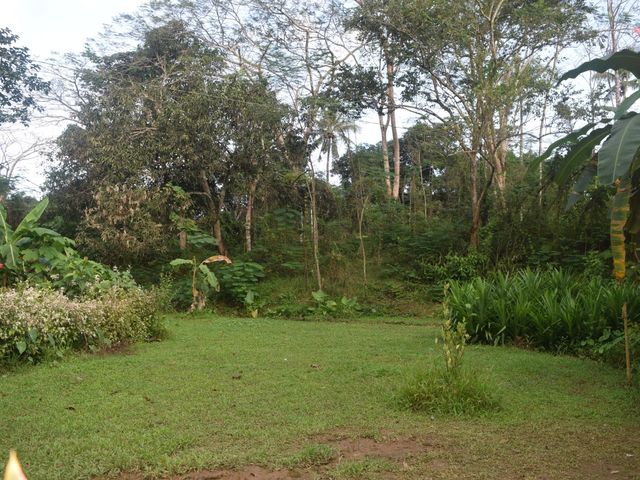 place photo 64