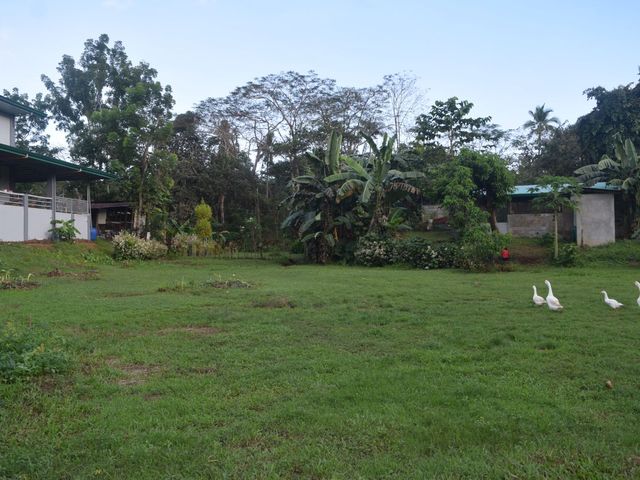 place photo 76