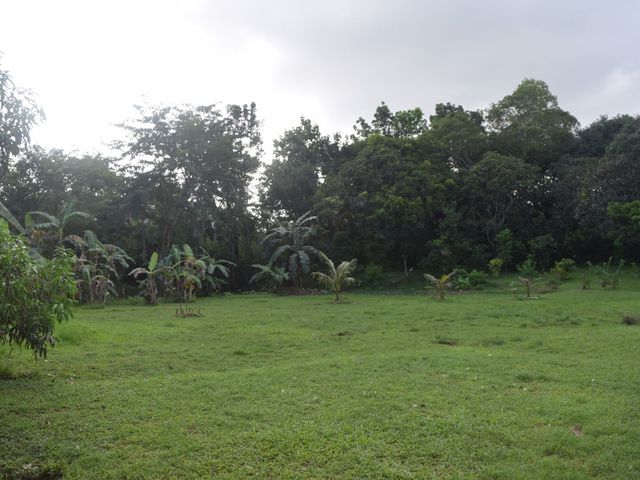 place photo 65