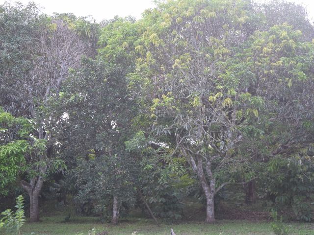place photo 75
