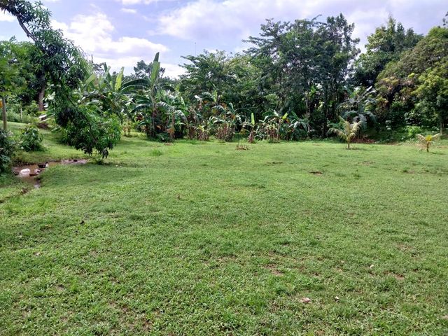 place photo 57