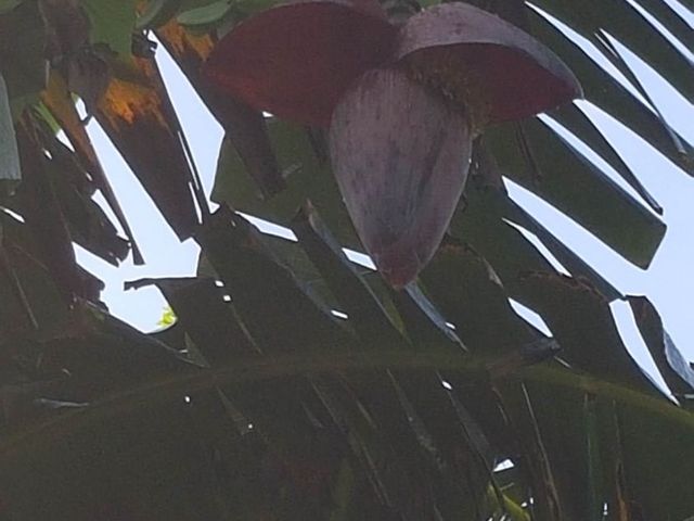 place photo 52