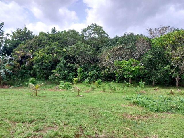place photo 58