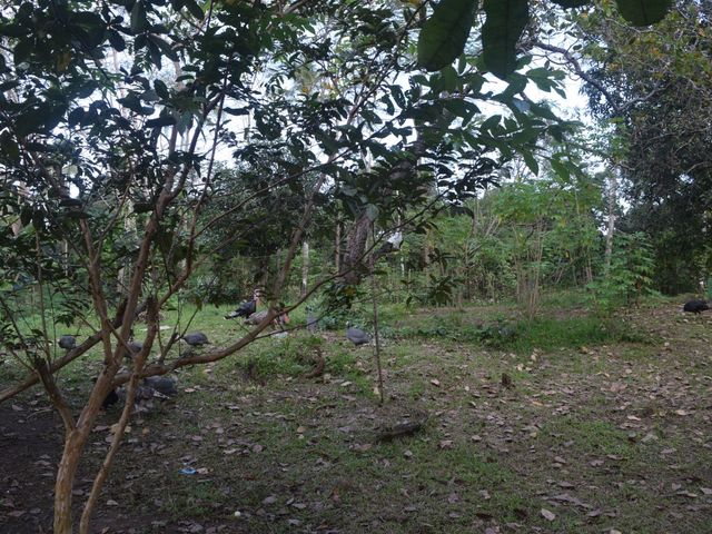 place photo 73