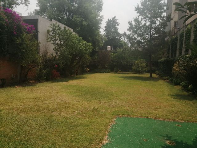 place photo 31