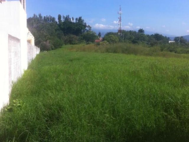 place photo 6