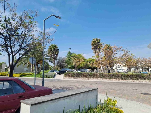 place photo 14