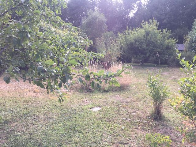 place photo 19