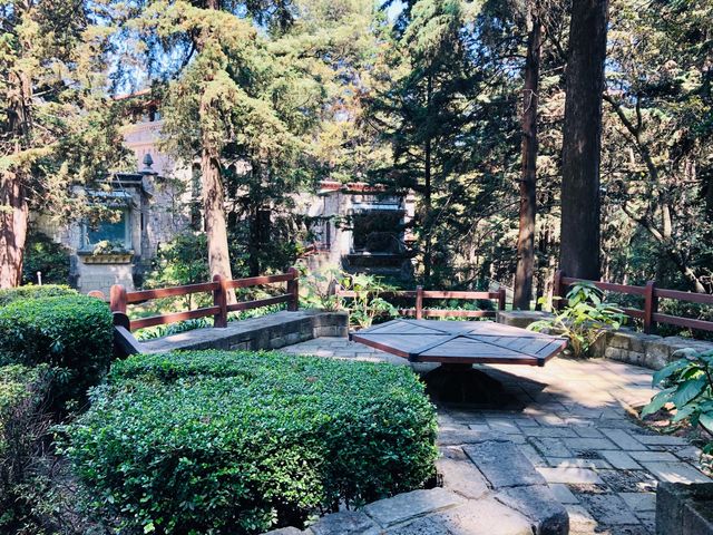 place photo 45