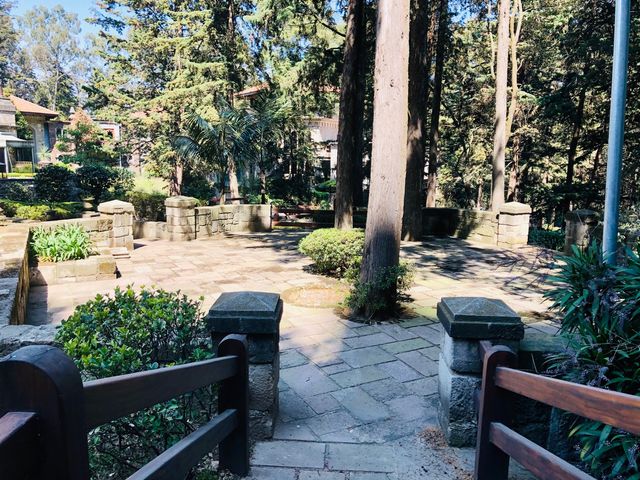 place photo 43