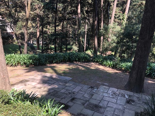 place photo 44
