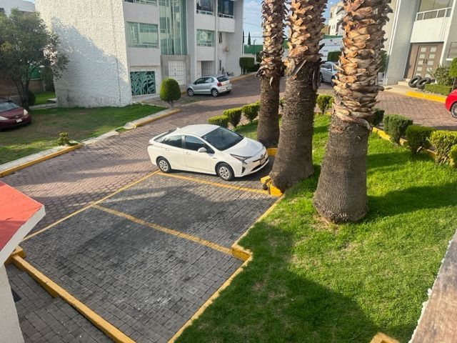 place photo 26