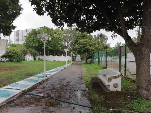 place photo 8