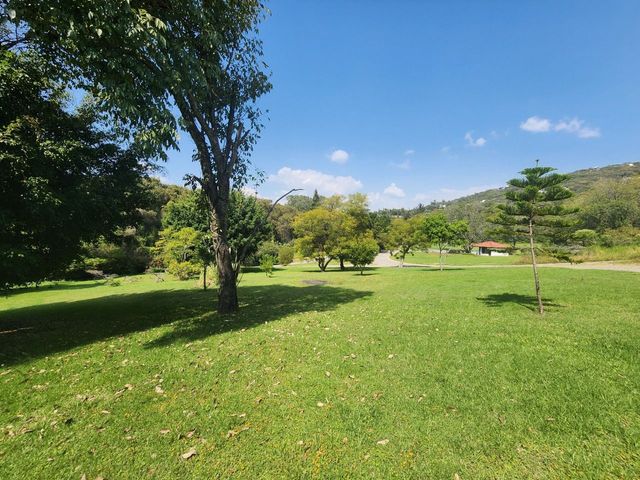 place photo 33