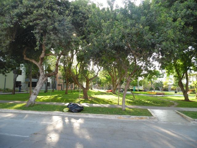 place photo 68