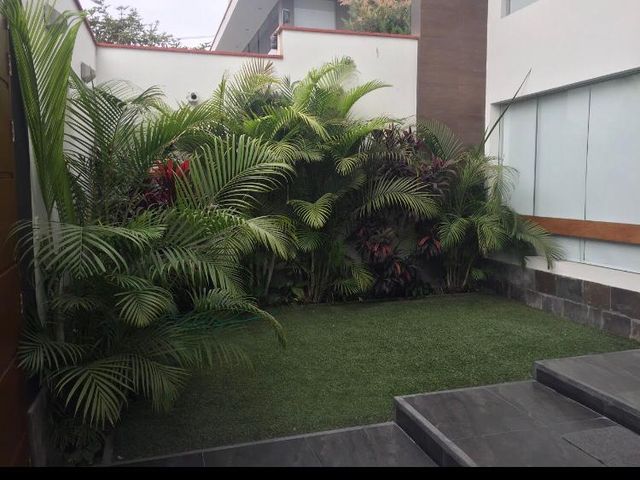 place photo 71