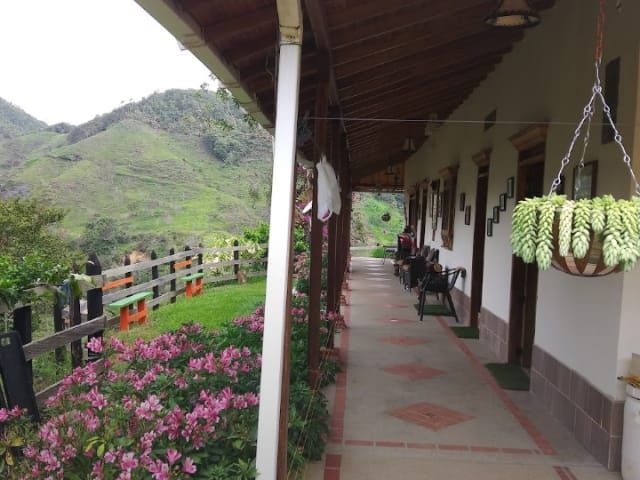 place photo 26