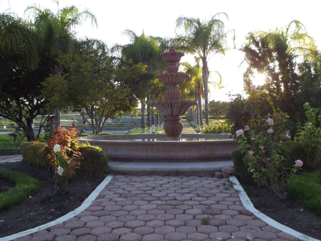 place photo 16