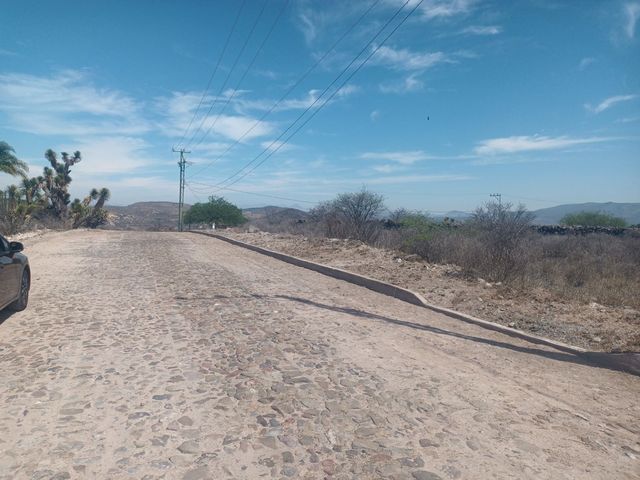place photo 22