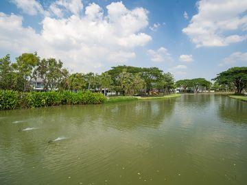 place photo 47