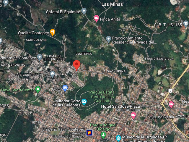 place photo 4