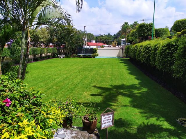 place photo 40