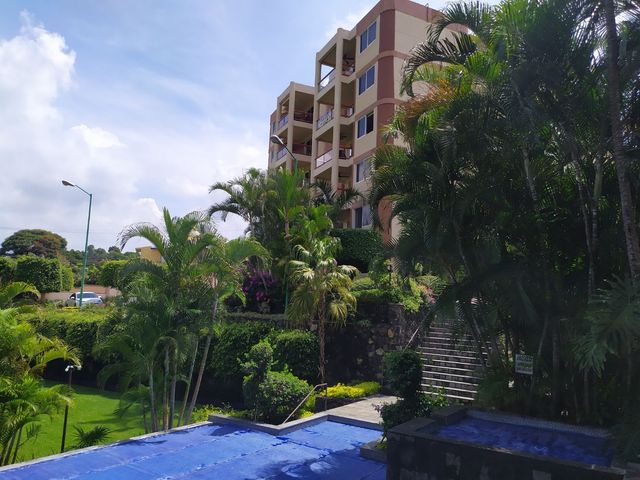 place photo 44