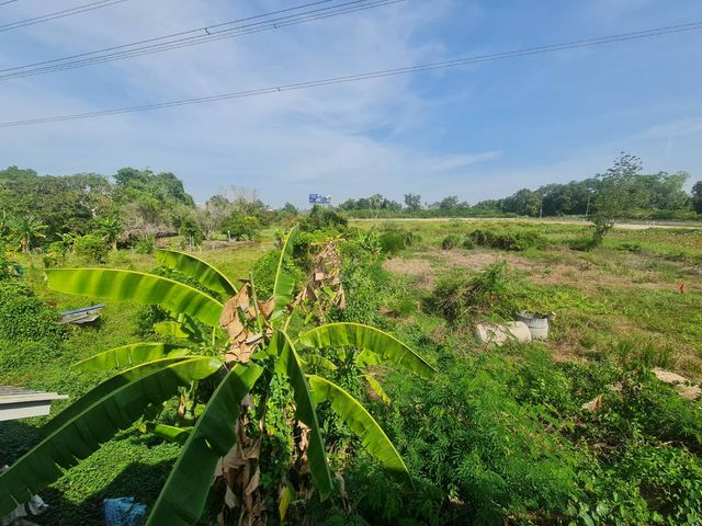 place photo 39