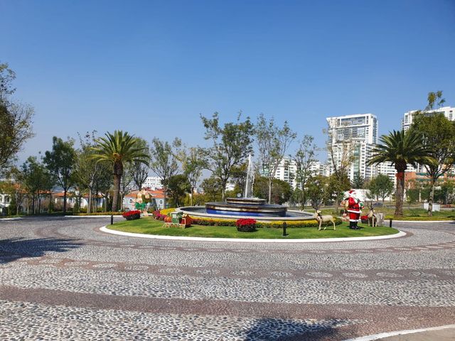 place photo 23
