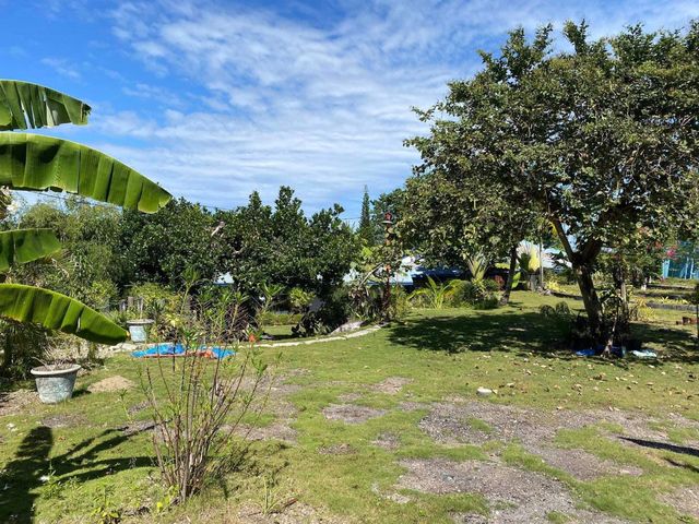 place photo 18