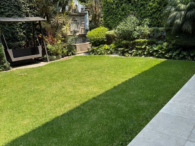 place photo 38