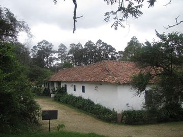 place photo 30