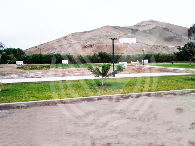 place photo 37