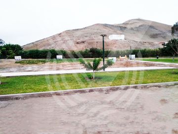 place photo 37