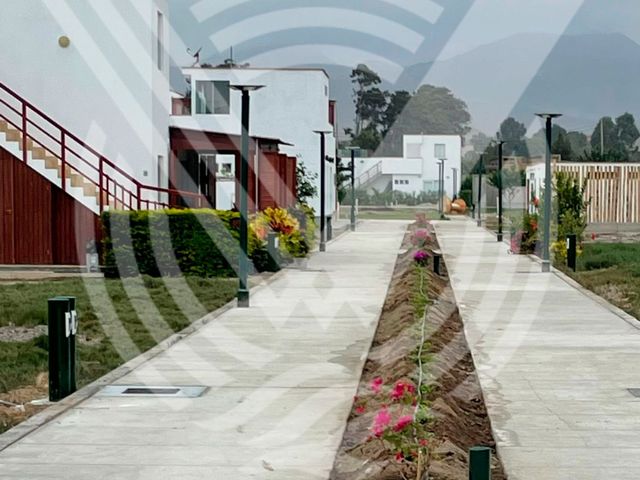 place photo 31