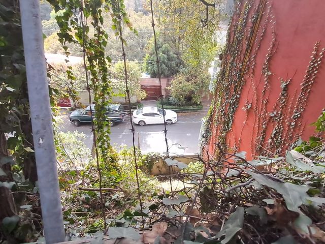 place photo 31