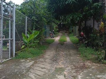 place photo 27