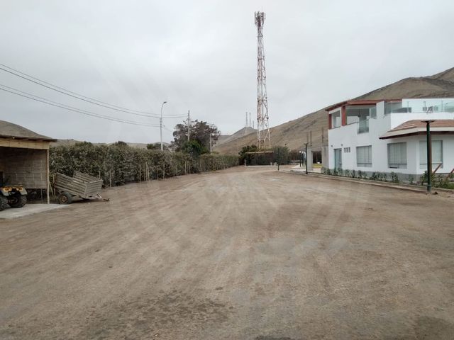 place photo 30