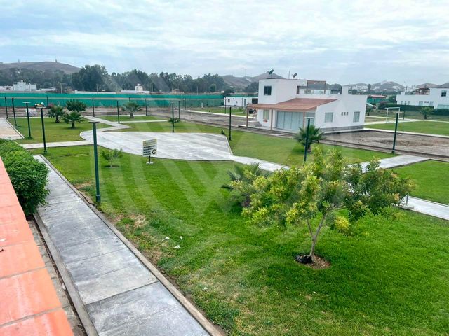 place photo 16