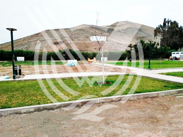 place photo 41