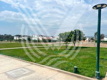 place photo 47