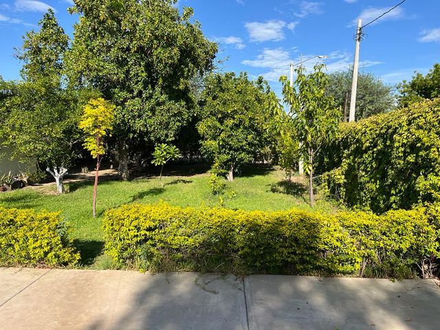 place photo 27