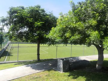 place photo 9