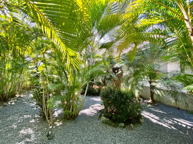 place photo 36