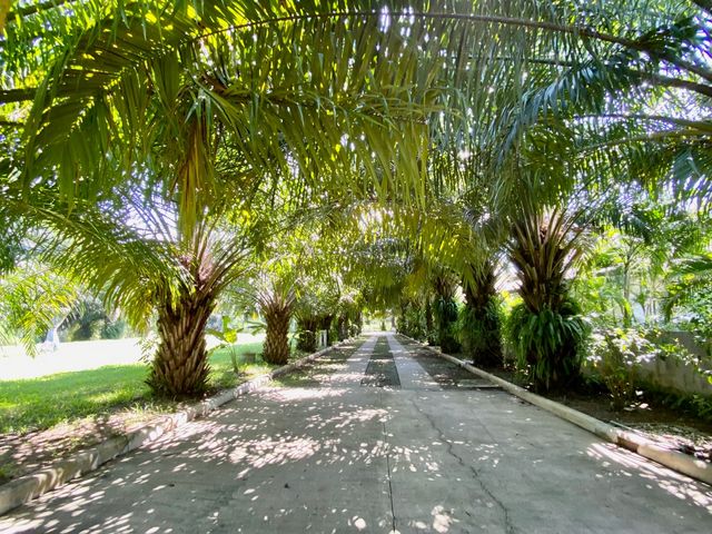 place photo 40