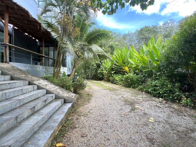 place photo 28