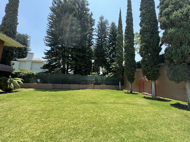 place photo 36
